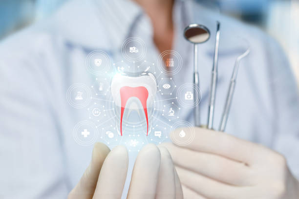 Professional Dental Services in Vandenberg Village, CA